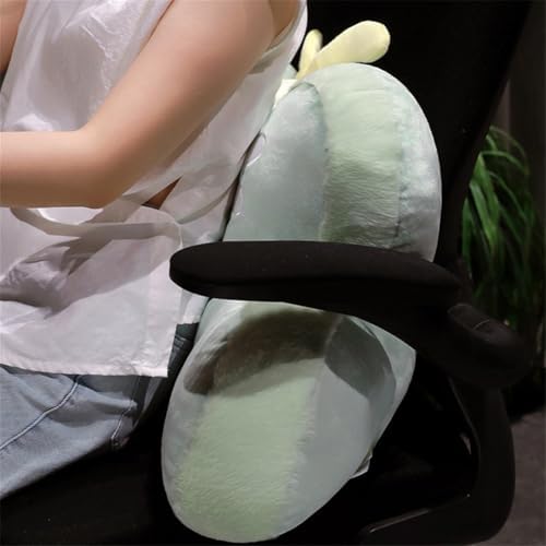 Cute Butterfly Reading Pillow with Arms and Back Support