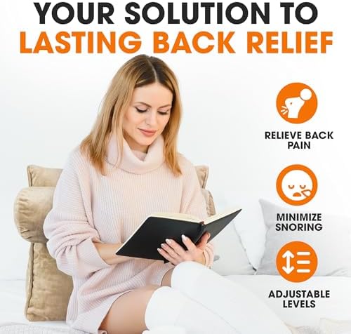 Cheer Collection TV Pillow Back Support Sofa Bed